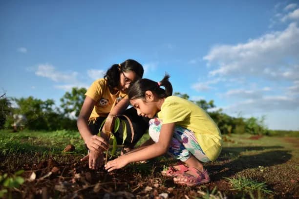 Planting at Bagru