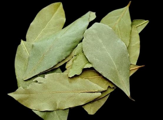 Bay leaf (Tej patta)